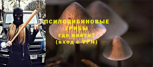 стафф Алексеевка