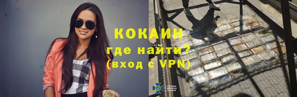индика Козельск